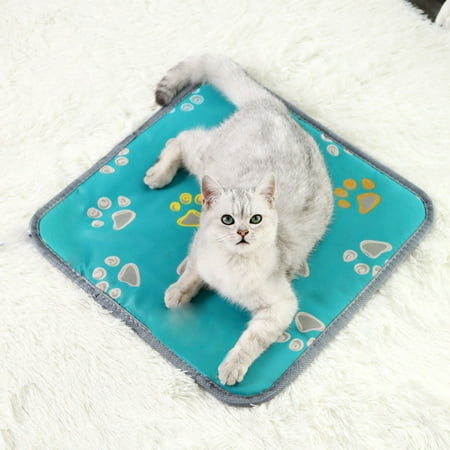 

Mittory Handheld Vacuum Cordless Hand Vacuum Car Vacuum Cleaner With 9000PA Powerful Suction Blower And Vacuum Pump 3 In 1 Wet Dry Use Portable And