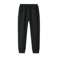 thumbnail image 6 of WREESH Men's Jogger Sweatpants Cotton Pants Outdoor Winter Fleece Thickened Casual Lamb Velvet Pants Full Length Pants Black, 6 of 6