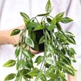 thumbnail image 4 of Plantas Artificiales Inteprter Decoración de Hojas Falsas para el Hogar en Maceta, 4 of 6