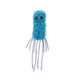 thumbnail image 2 of Regalo educativo de peluche GiantMicrobes Pseudomonas Bacterias, 20 cm, 2 of 5
