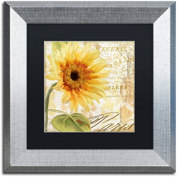 Trademark Fine Art "Ete I" Canvas Art by Color Bakery Black Matte, Silver Frame