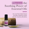 thumbnail image 7 of Pranarom Organic Essential Oil Blend with Bergamot, Lavender, Peppermint & Helichrysum, 8 mL, 7 of 7