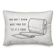 thumbnail image 2 of Creative Products Until It's Gone 14x20 Spun Poly Pillow, 2 of 3