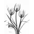 thumbnail image 2 of Koetsier, Albert 19x24 Gold Ornate Wood Framed with Double Matting Museum Art Print Titled - Tulips Bunch in BandW, 2 of 4