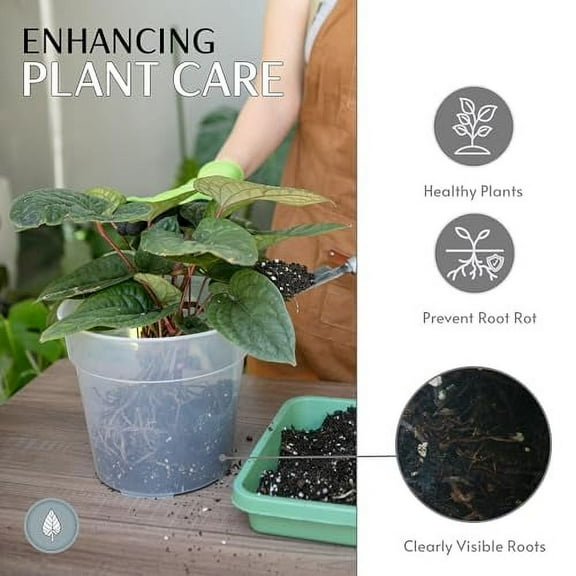 karenplantsplants™ 9" Clear Plastic Nursery Pot (Clear - 5 Pack)