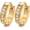 Gold Tone, variant on 13MM Stainless Steel Small Hoop Earrings for Men Women CZ Inlaid,Black-Yomhary