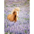 thumbnail image 3 of PHBurchett 15x18 Black Modern Framed Museum Art Print Titled - Horse in Lavender I, 3 of 5