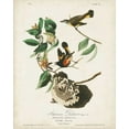 thumbnail image 2 of Audubon, John James 26x32 White Modern Wood Framed Museum Art Print Titled - Pl 40 American Redstart, 2 of 4