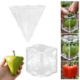 thumbnail image 2 of Molde para dar forma a frutas para cultivar frutas cúbicas triangulares únicas. Molde de plástico transparente reutilizable para el cultivo de frutas y verduras, ideal para tomates, fresas y peras., 2 of 8