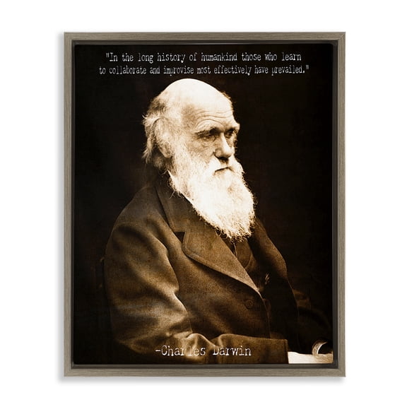 Stupell Industries Shabby Chic Inspiring Darwin Quote Brown Floating Frame Canvas Art, 17 x 21, by Graffitee Studios