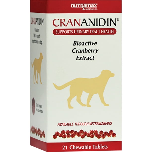 Nutramax Crananidin Urinary Tract Health Supplement for Dogs, 21