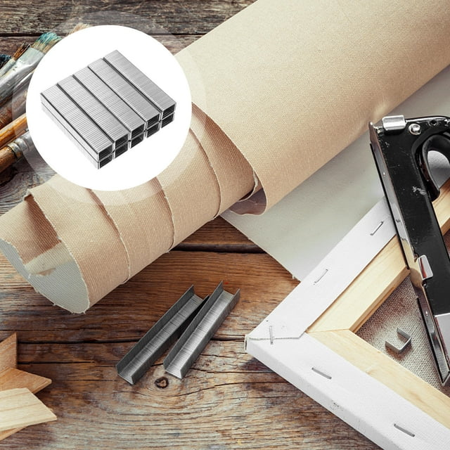 unbranded 5000 Pcs Agrafes Robustes en Acier pour Professionnels du Bois