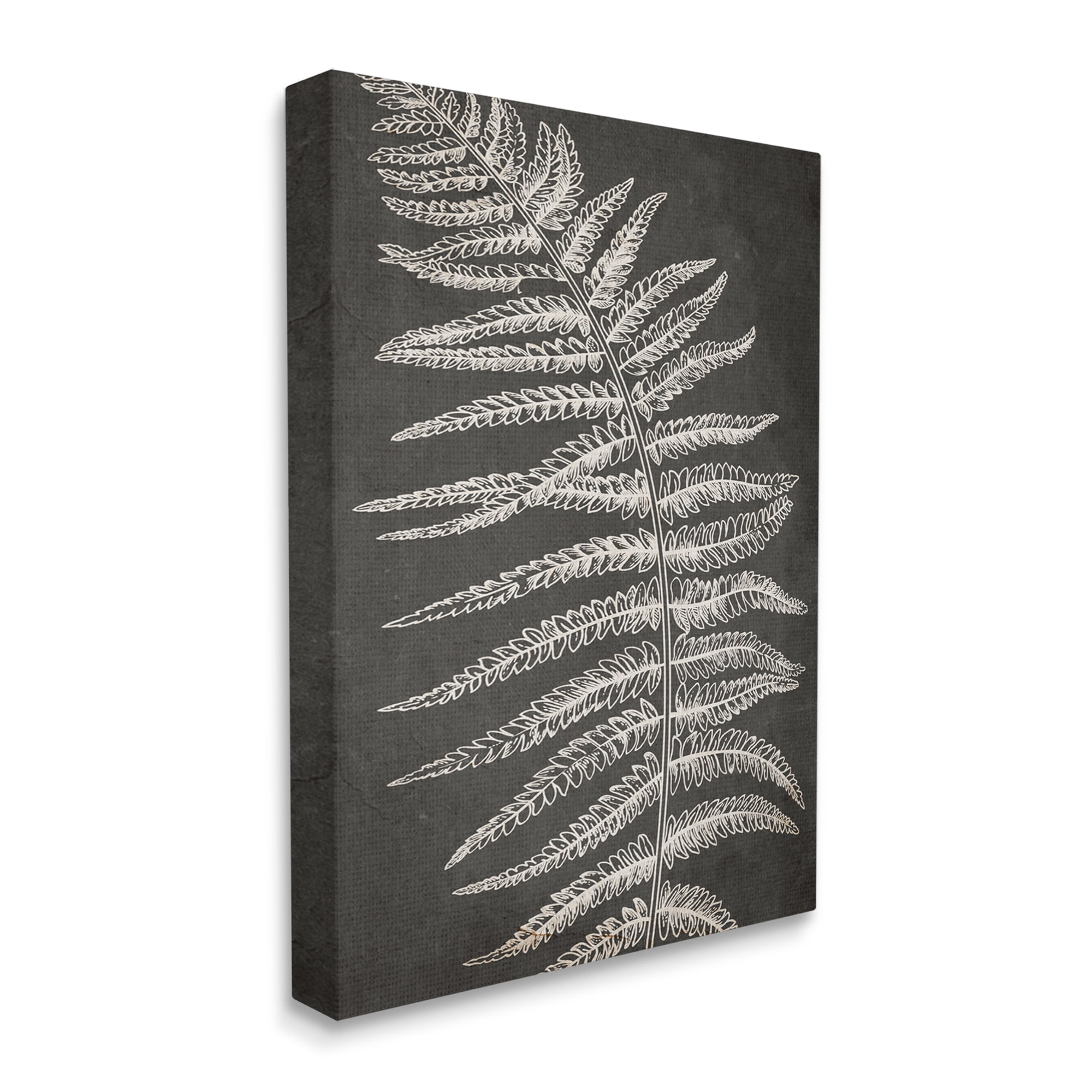 Stupell Industries Fern Leaf on Grey Botanical & Floral Painting Gallery Wrapped Canvas Print Wall Art, 36 x 48