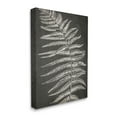 thumbnail image 4 of Stupell Industries Fern Leaf on Grey Botanical & Floral Painting Gallery Wrapped Canvas Print Wall Art, 24 x 30, 4 of 8