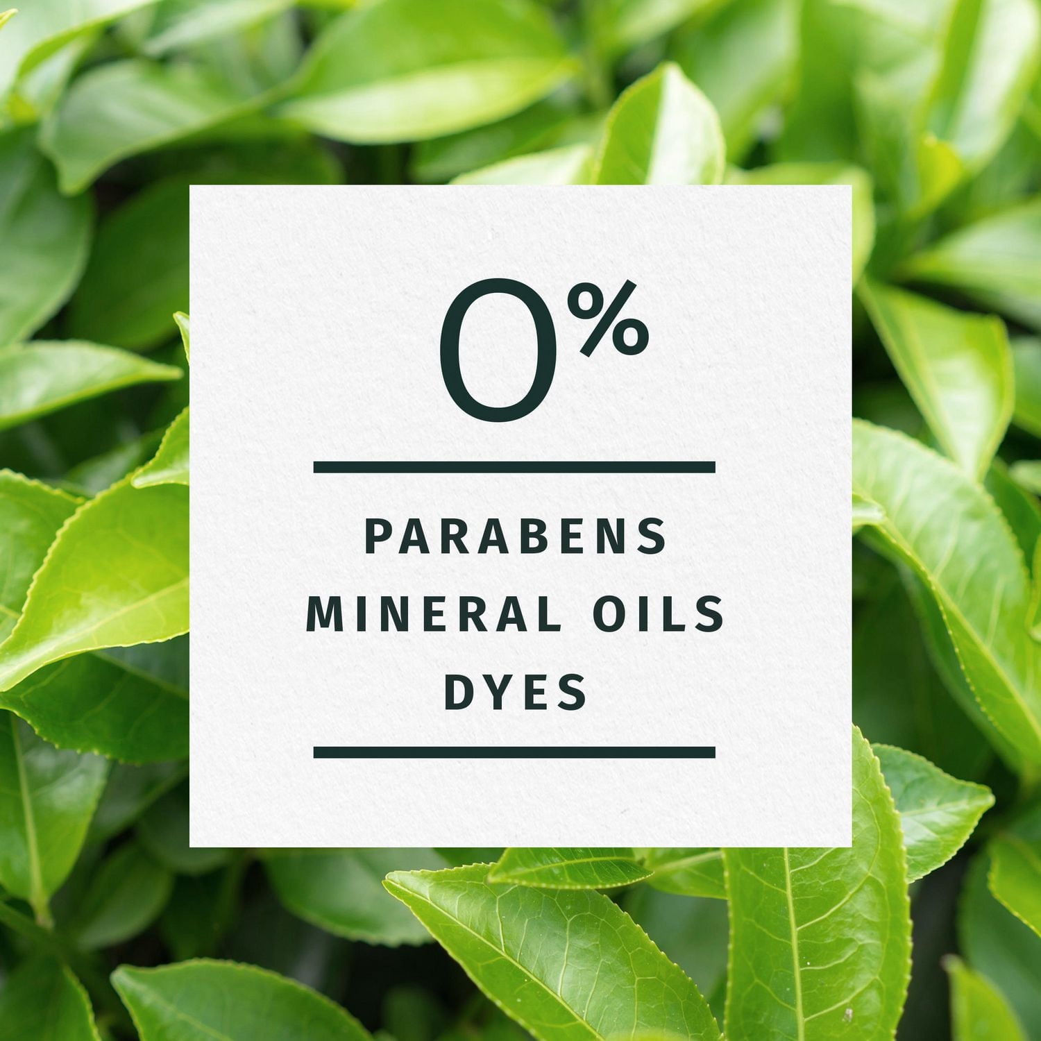 Herbal Essences Classics Clarifying Tea Tree Conditioner, 400 mL