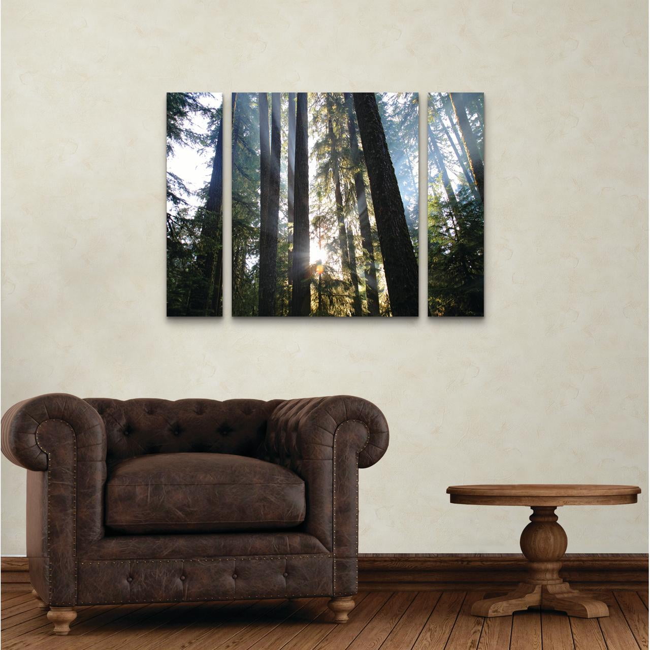 Trademark Fine Art 'Sunrays' Canvas Art by Pierre Leclerc