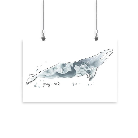 Cetacea Gray. Whale Poster - June Erica Vess Designs,