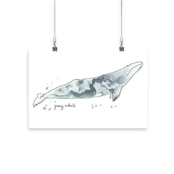 Cetacea Gray. Whale Poster - June Erica Vess Designs,