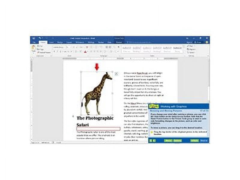 Prof Teaches Office 2016 Tutorial Set