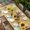 Yellow, variant on Sunflower Table Cloths for 6 Foot Rectangle Tables, Yellow Flowers Summer Botanical Wooden Retro Art Patio Waterproof Elastic Fitted Tablecloths, Washable Rectangular Table Cover for Camping