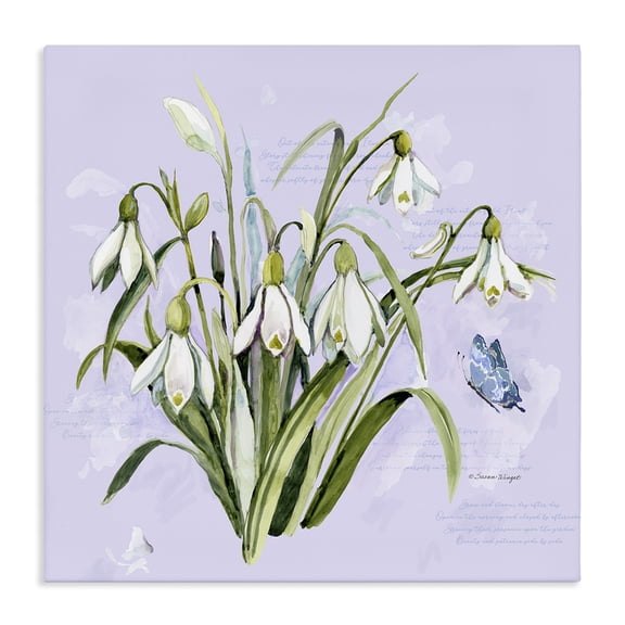 Stupell Industries Snowdrops with Vintage Writings Canvas Wall Art, design by Susan Winget