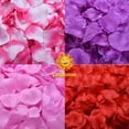 thumbnail image 2 of Novia de boda romántica rociando flores en la boda Propuesta romántica Asignar decoraciones de San Valentín Aniversario, 2 of 5