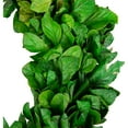 thumbnail image 4 of Northlight Preserved Leaf Spring Garden Wreath - 20" - Unlit, 4 of 7