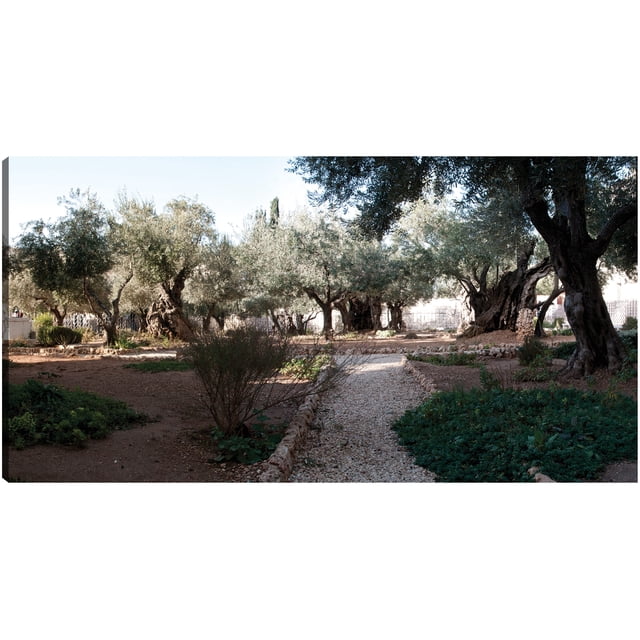 Cuadro Decorativo - Jardín de la antigua Jerusalén Jr Impresión en canvas, estrechado.