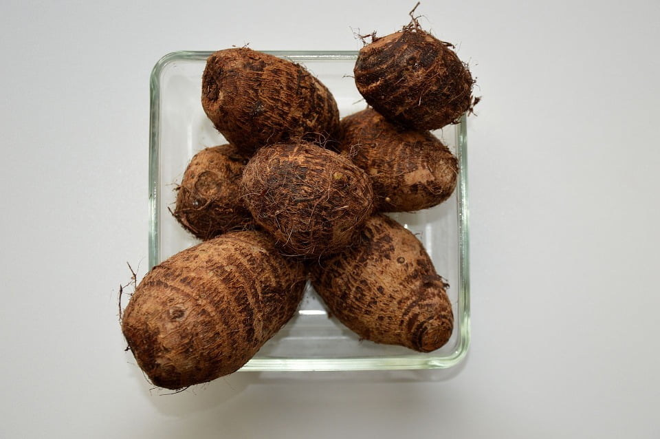 Surinamese Chinese Root Food Raw Vegetables12 Inch BY 18 Inch