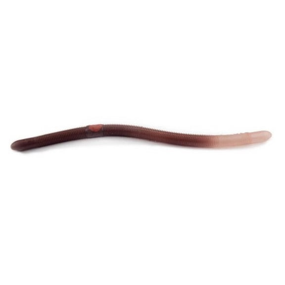 Kelly's Annealed Baits KW104-NCT Natural Action Worm Weedless 5.5" Clear tail