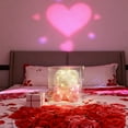 thumbnail image 5 of Lilixerw LED Rose Bear with Lights in Clear Gift Box,Valentine's Day Roses Gifts,9.84In Romantic Bear Home Decor for Couple,Red, 5 of 6