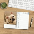 thumbnail image 5 of French Bulldogs | 2025 6x7.75" Engagement Planner Calendar | BrownTrout, 5 of 9