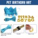 thumbnail image 3 of 1 juego de corona, sombrero y pajarita para fiesta de cumpleaños de perro o mascota, suministros para recuerdos de fiesta, 3 of 5