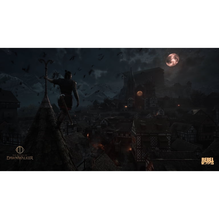 Bandai Namco Blood Of Dawnwalker, PlayStation 5 photo 8