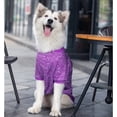 thumbnail image 5 of 3XL-9XL Winter Warm Pet Sweater, 5 of 10