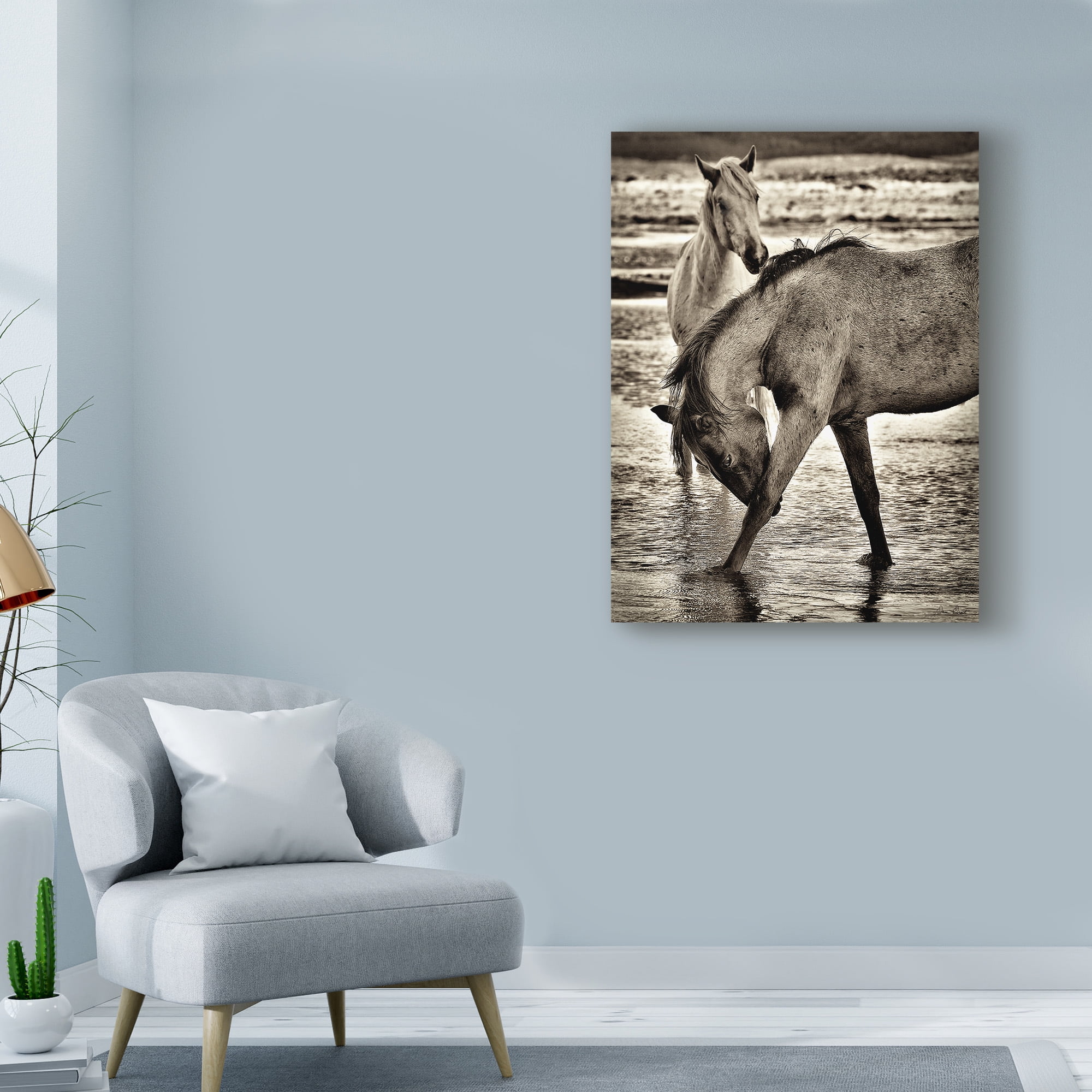 Trademark Fine Art 'Beach Horses I' Canvas Art by David Drost