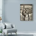 thumbnail image 3 of Trademark Fine Art 'Beach Horses I' Canvas Art by David Drost, 3 of 4