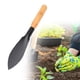 thumbnail image 2 of Pala pequeña de jardín para excavar, pala para verduras silvestres, flores de ajo y herramientas para el cultivo de flores junto al mar. Herramientas agrícolas para hortalizas y suculentas, 2 of 8