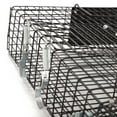 thumbnail image 4 of Rugged Ranch CHPTO Chipmunkinator Metal 2 Door Chipmunk Trap Cage (2 Pack), 4 of 13