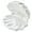 White, variant on Elegant Shell Ring Holder Decorative Home Accessory Organize Earrings Necklace