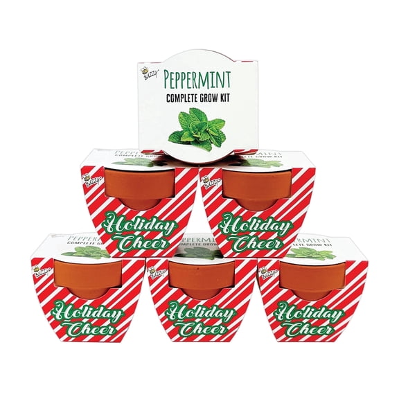 Buzzy Seeds Holiday Peppermint Mini Grow Pot Seed Starter Gardening Kit 6pk