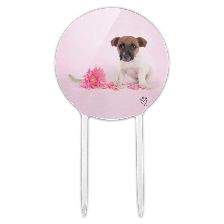 Jack russell 2025 cake topper