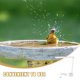 thumbnail image 3 of SWETRACE Boquilla Para De Para Bañera De Pájaros Compatible Con Varios, 3 of 8