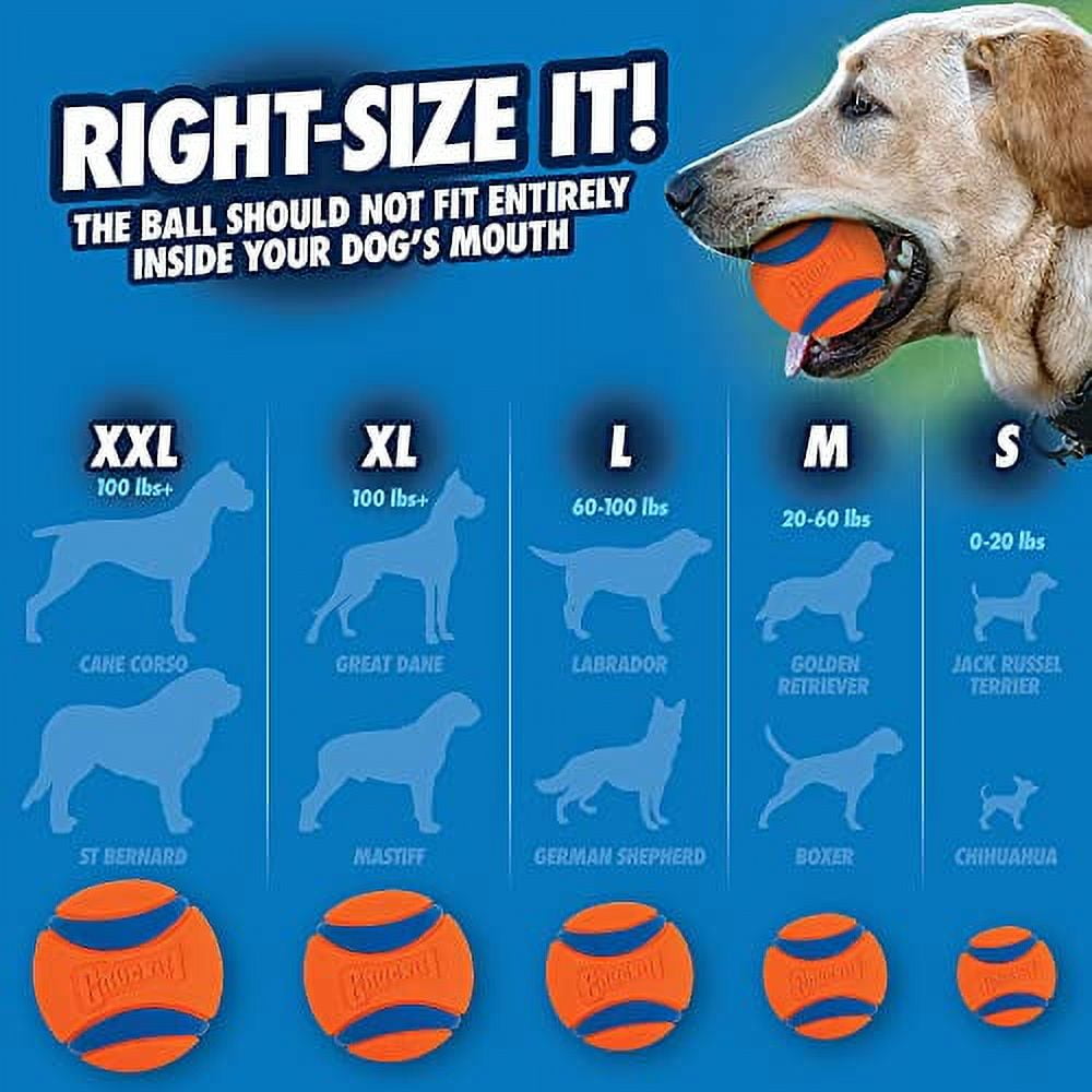 Large chuck it ball discount