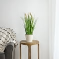thumbnail image 2 of Northlight 24" Artificial Onion Grass Plant in Black Pot, 2 of 5