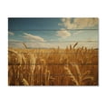thumbnail image 3 of Designart "French Golden landscapes Of Britany II" Farm Print on Natural Pine Wood, 3 of 5