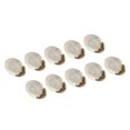thumbnail image 1 of Slimming Firming , 10pcs Slimming  Odor Removal  For Beauty Salon, 1 of 8