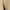 Khaki, variant on cfhntfmh Womens Casual Shorts 2024 High Waisted Fashion Beach Shorts Cute Wide Leg Comfy Summer Shorts with Pockets