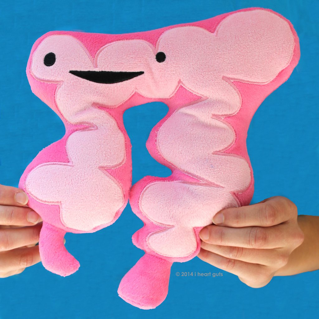 colon plush toy