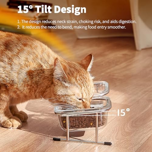 Elevated Cat Bowls, 15° Tilted Glass Raised Cat Food Bowl with Stainless Steel Stand, 2 Large Capacity Glass Cat Bowls and 4 Anti Slip Feet, Suitable for Cats and Little Dogs